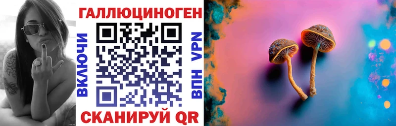 Галлюциногенные грибы Psilocybe  Купить где  Бийск 